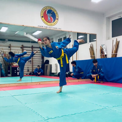 centro_la_sfera-arti_marziali-discipline_orientali-vovinam_viet_vo_dao-gallery-03